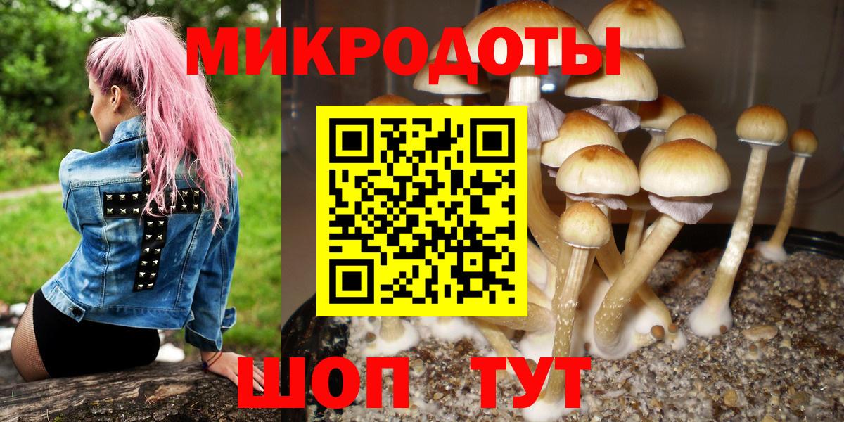 Великий Новгород  Галлюциногенные грибы мухоморы  Вход с VPN 